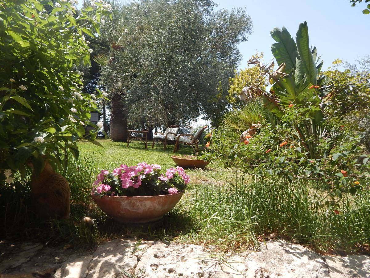 Villa Azzurra San Corrado di Fuori Exteriér fotografie